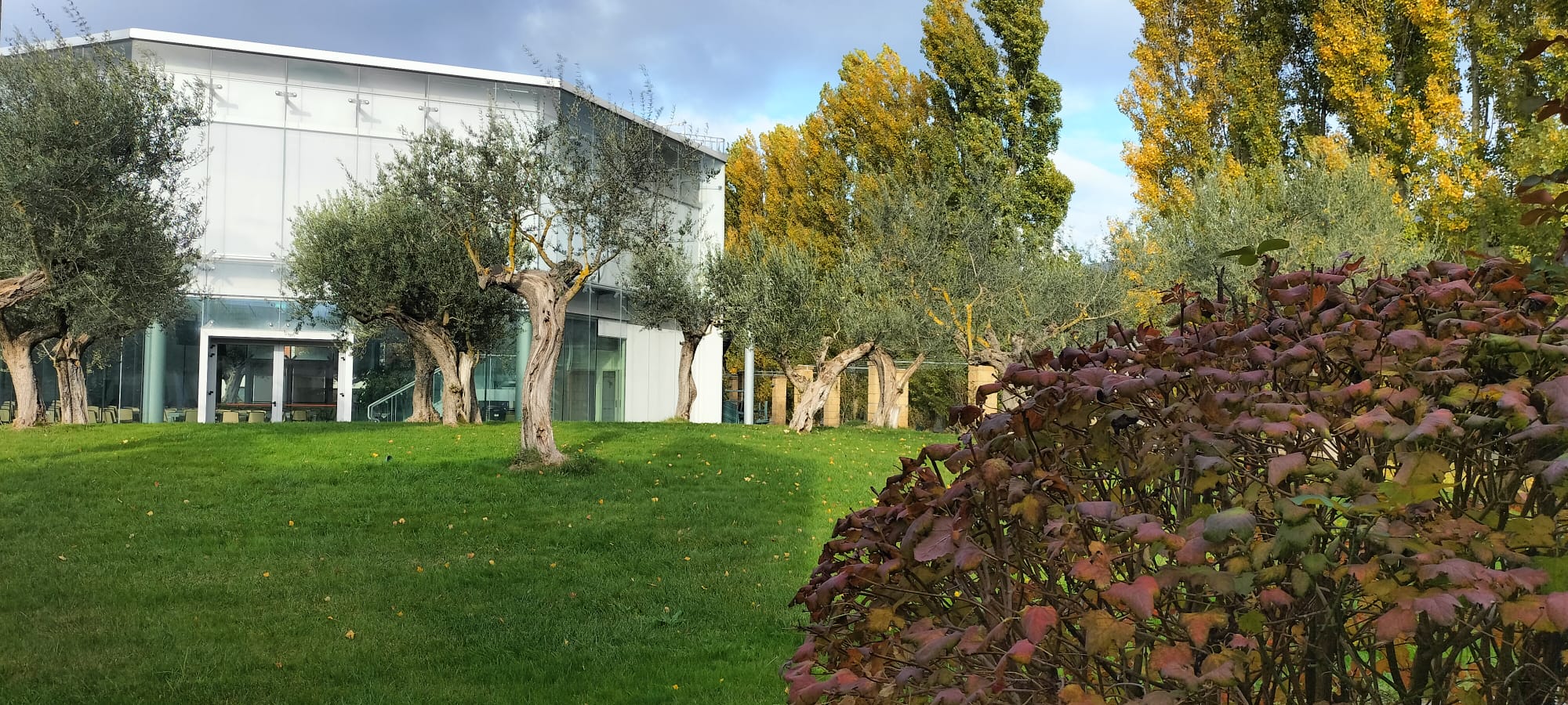 Confronto su metabolismo e genomica del cancro a Biogem